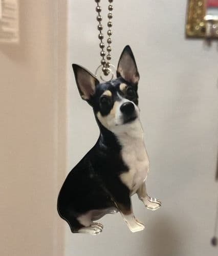 Customer photo by Verified buyer