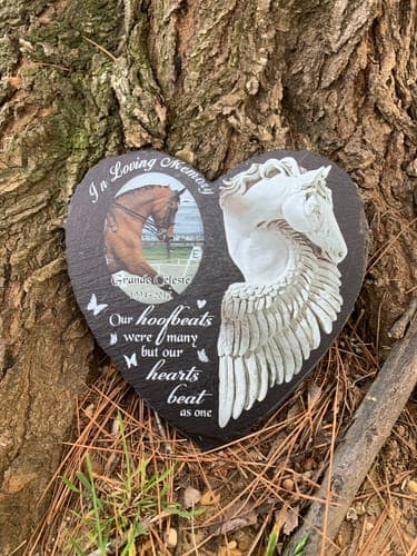 Customer photo by Theresa S.