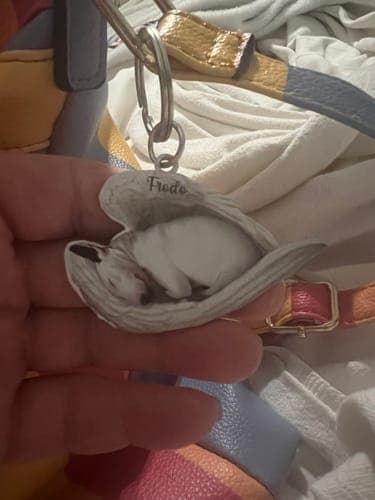 Customer photo by Patricia S.