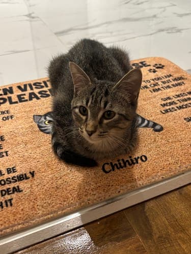 Customer photo by Nour K.