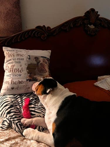 Customer photo by Sonia C.