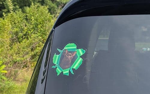 Customer photo by Geraldine M.