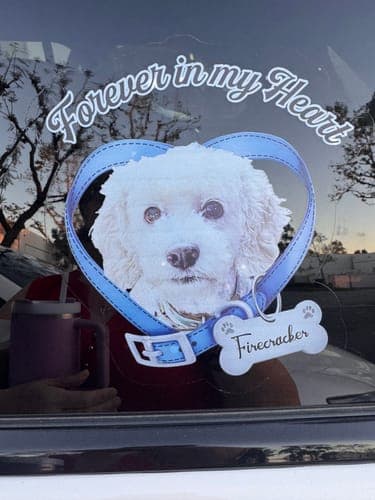 Customer photo by Jeanine G.