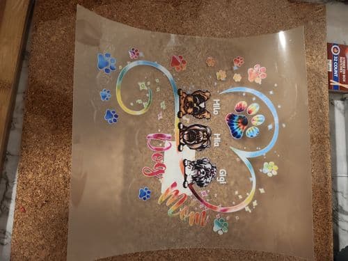 Customer photo by Verified buyer
