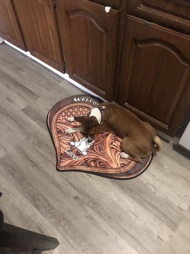 Customer photo by Verified buyer