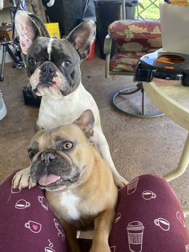 Customer photo by Verified buyer