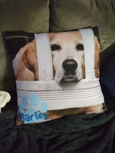 Customer photo by Verified buyer