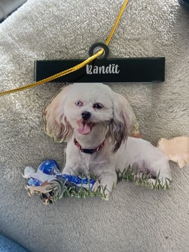 Customer photo by Verified buyer