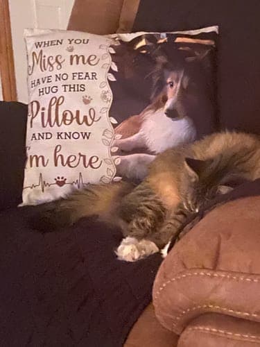 Customer photo by Deb M.