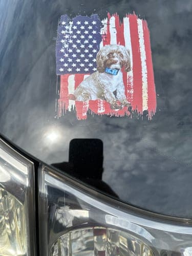 Customer photo by Roger B.