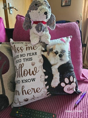 Customer photo by Diane G.