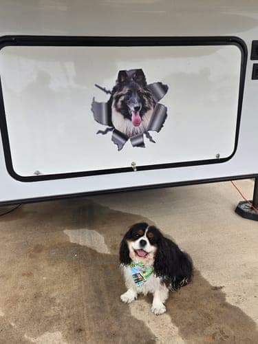Customer photo by Theda P.