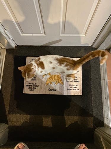 Customer photo by Allison A.